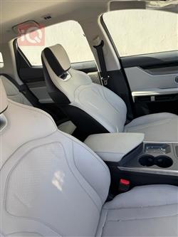 جيتور داشينج